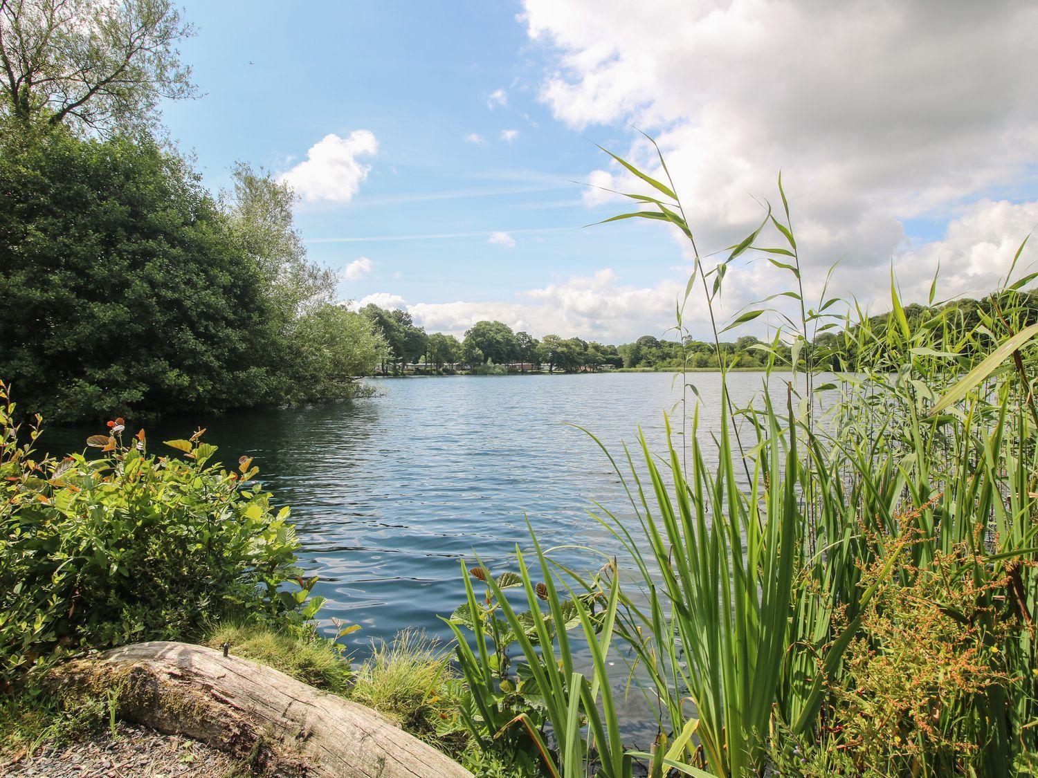 Villa Swan Leominster Esterno foto