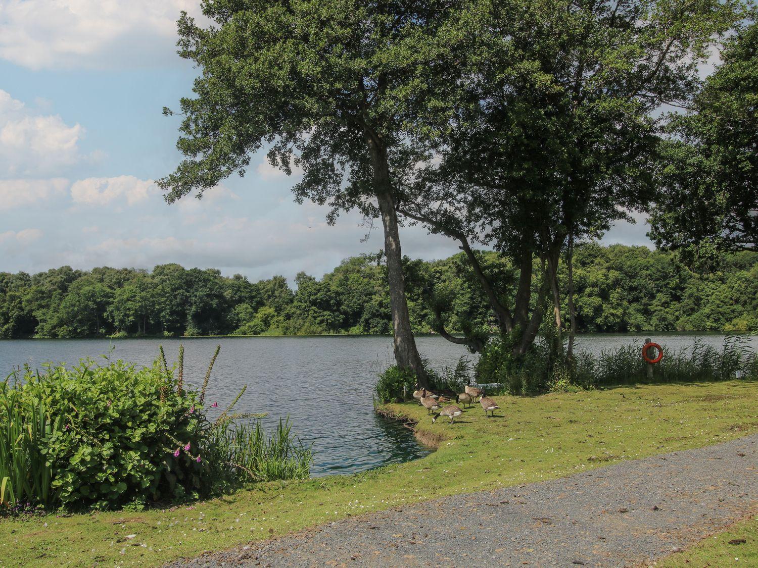 Villa Swan Leominster Esterno foto