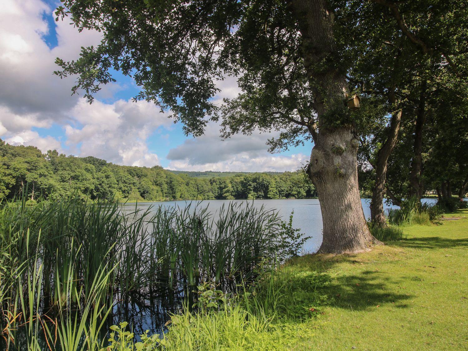 Villa Swan Leominster Esterno foto
